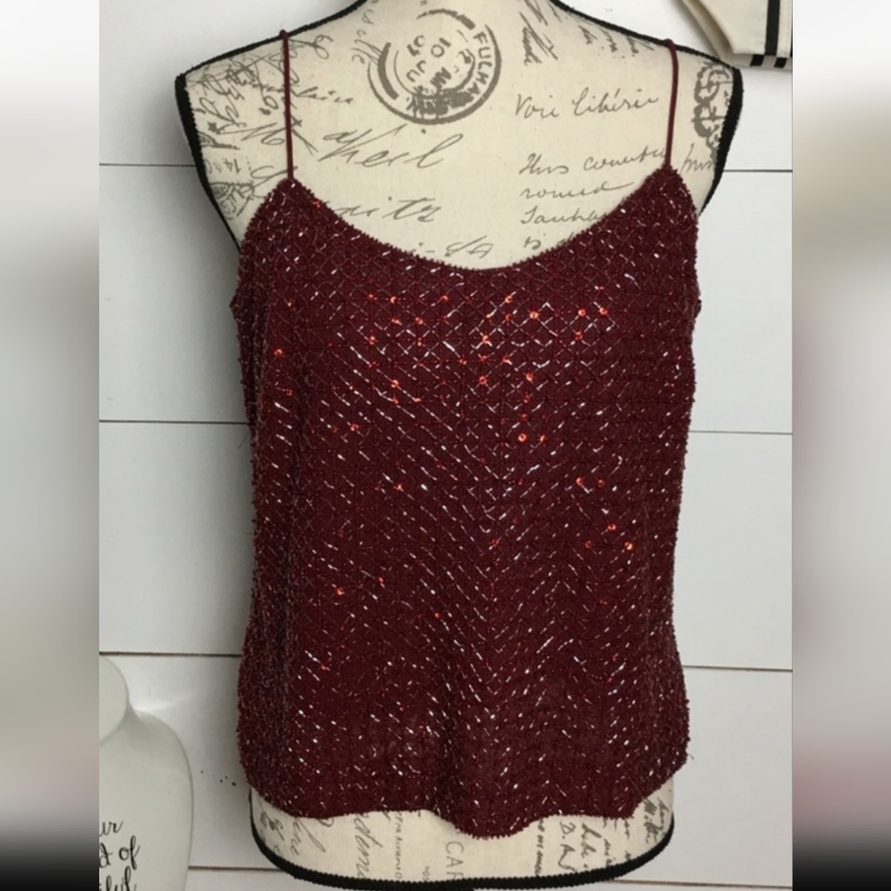 Ann Taylor Petites Beaded Silk Top New